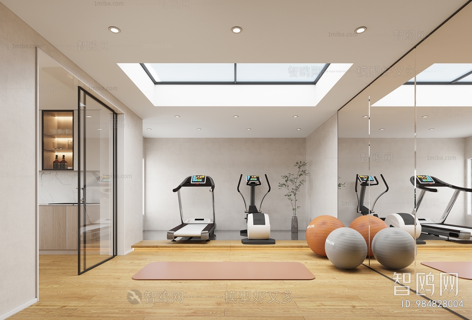 Modern Gym