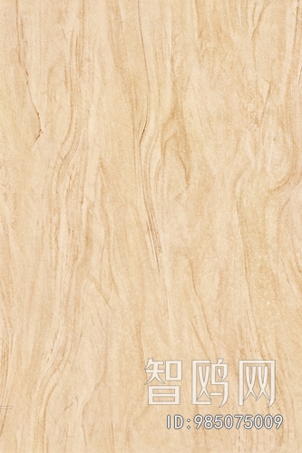 Wood Texture