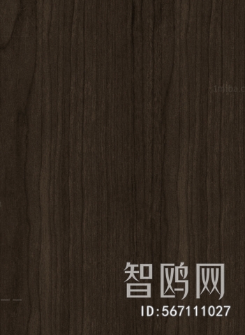 Wood Texture