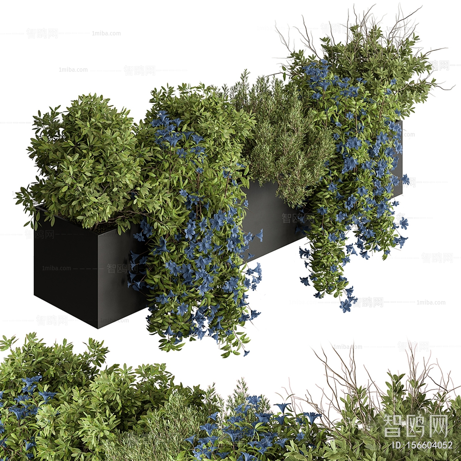 现代灌木绿植 花箱