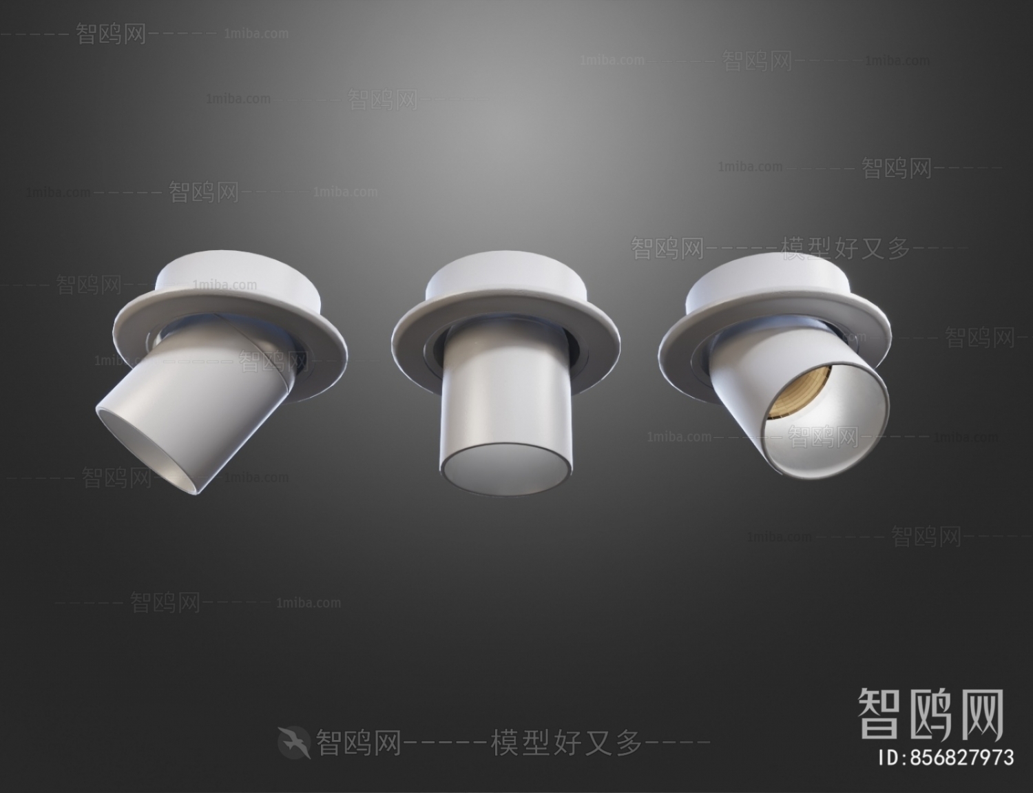 Modern Downlight Spot Light