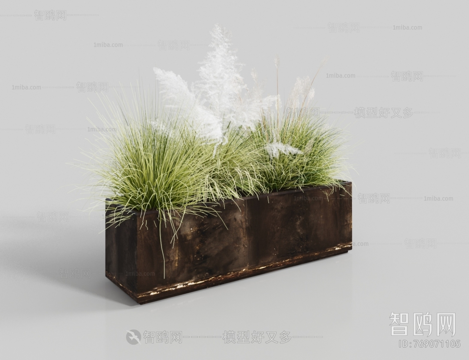 现代花箱 芦苇绿植盆栽