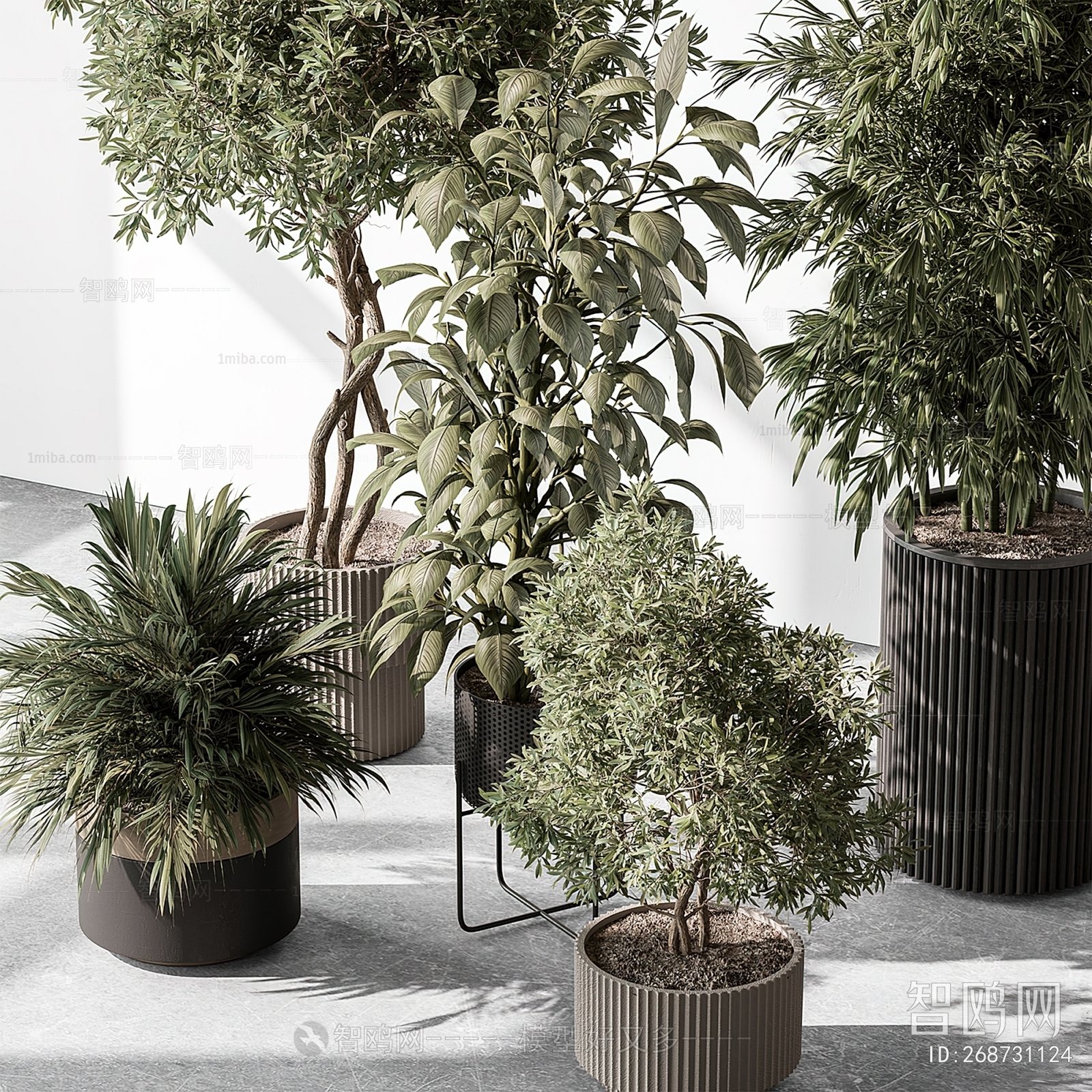 Modern Ground Green Plant Potted Plants