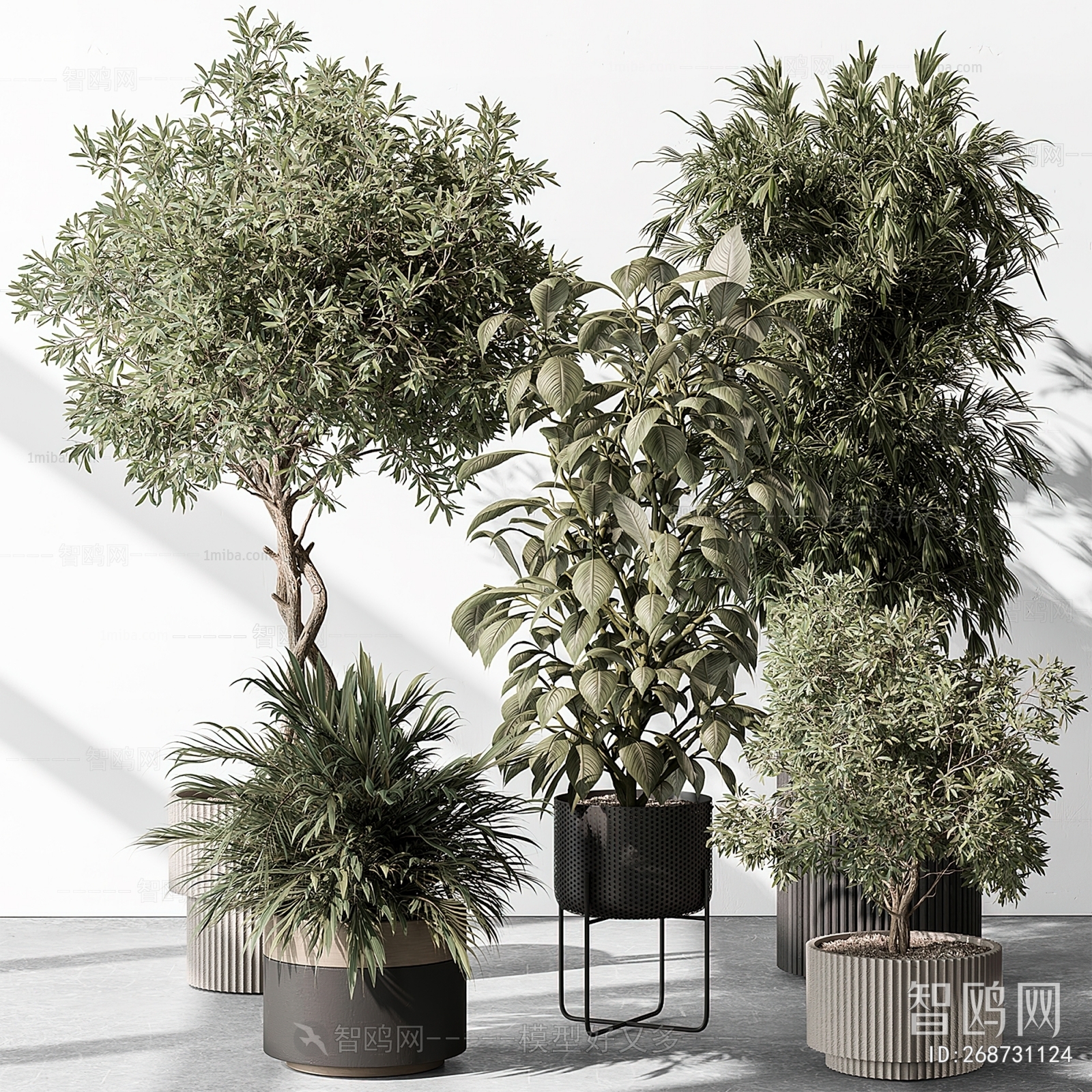 Modern Ground Green Plant Potted Plants