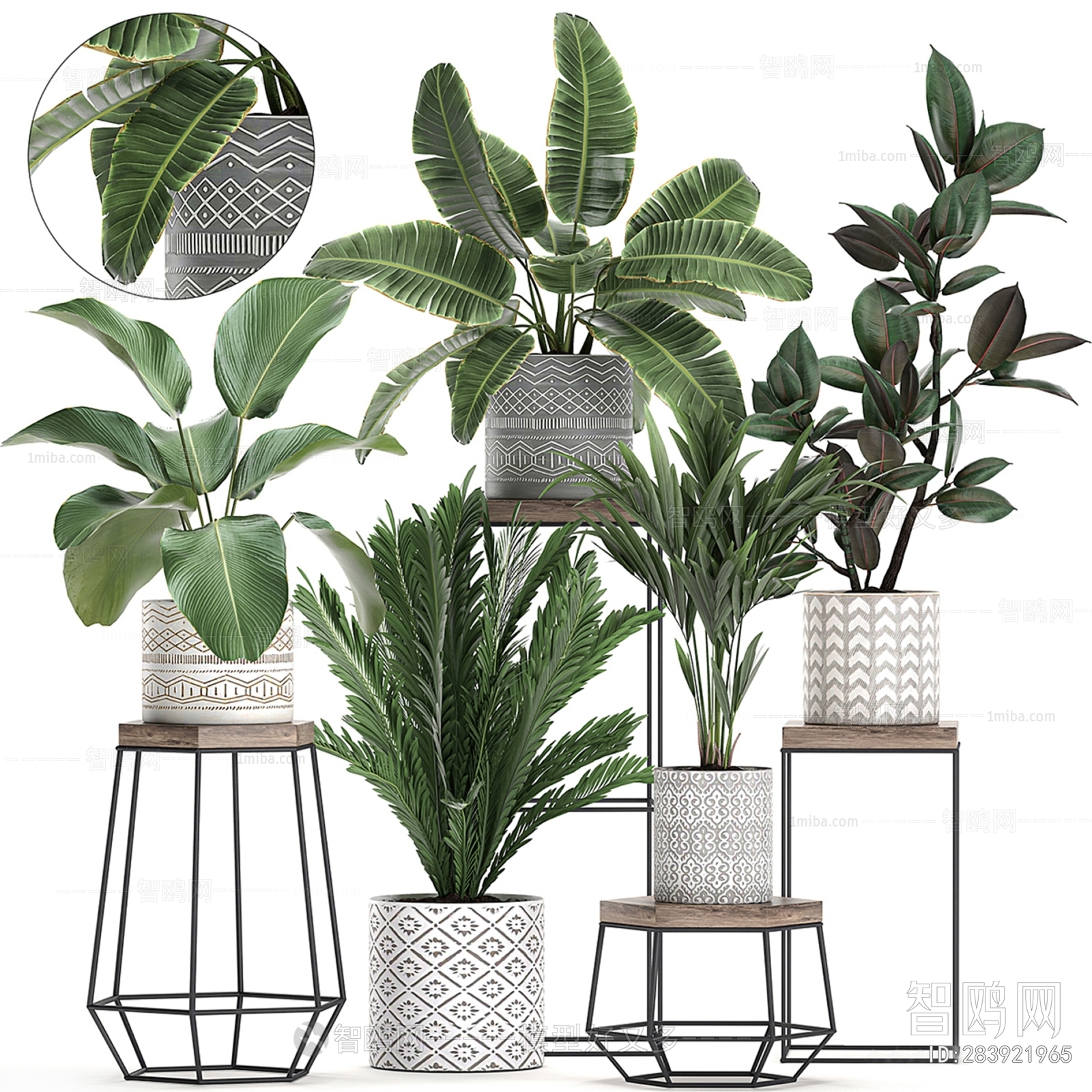 Modern Potted Green Plant