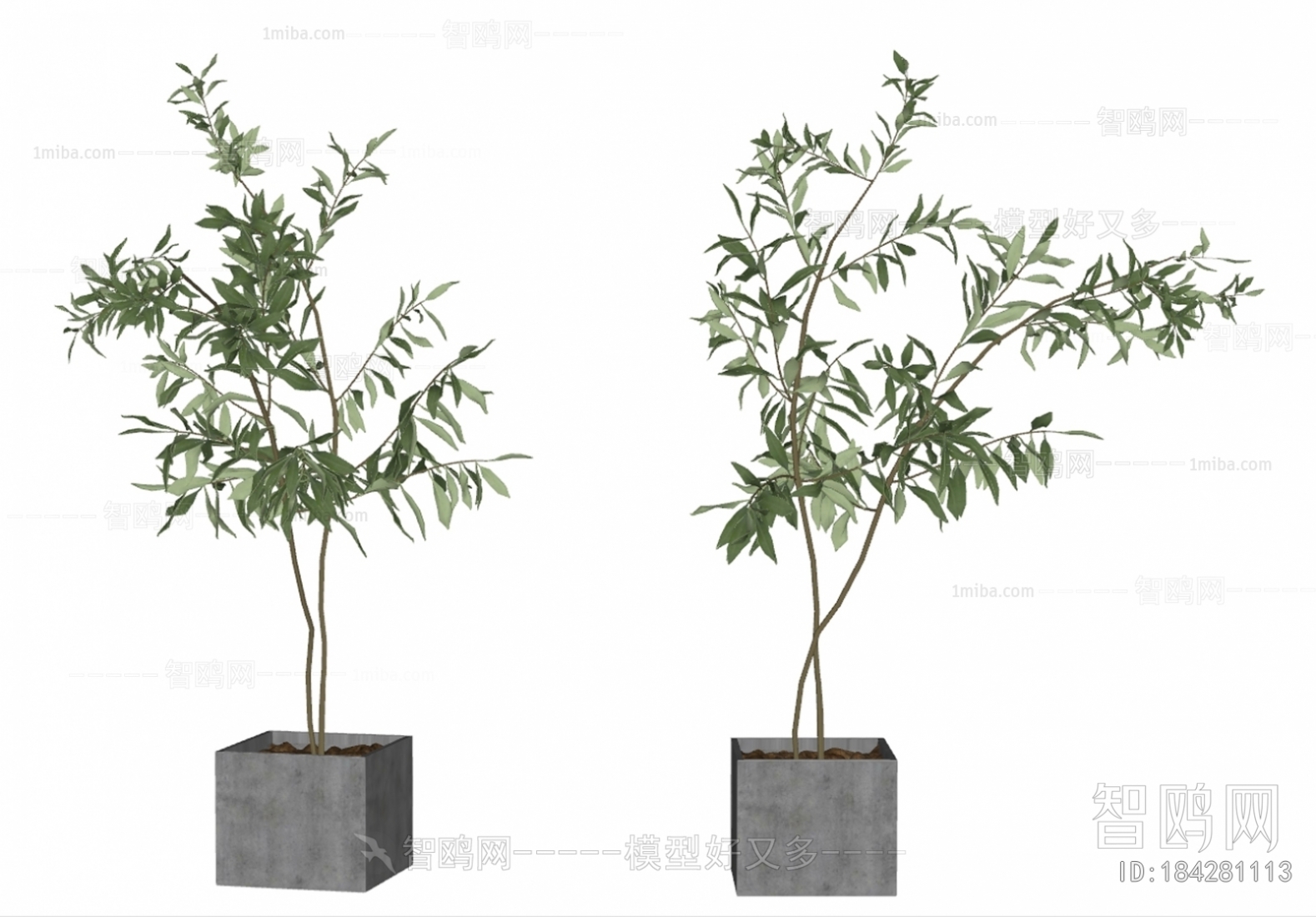 Modern Ground Green Plant Potted Plants