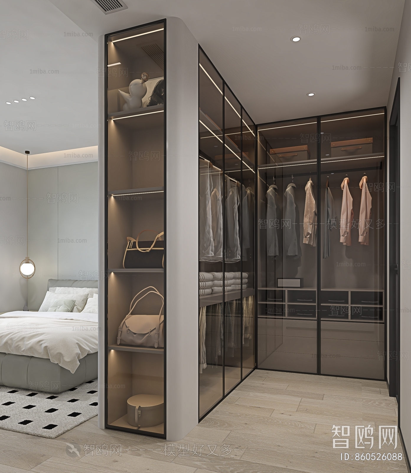 Modern Clothes Storage Area