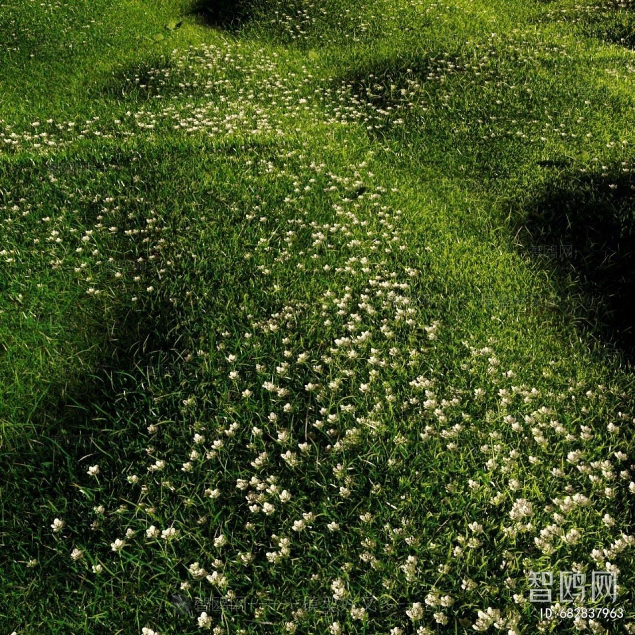 Modern Flowers And Grass