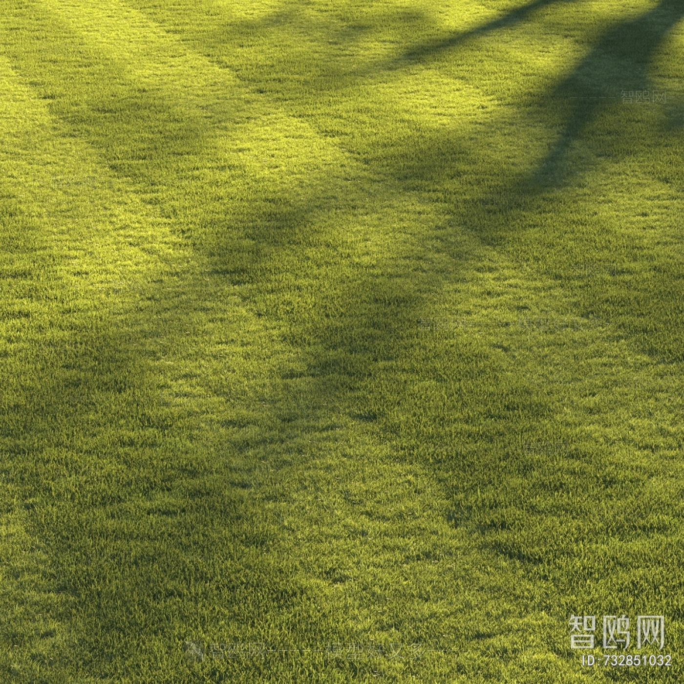 Modern Flowers And Grass