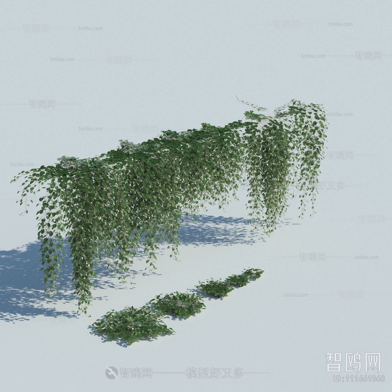 现代爬藤植物