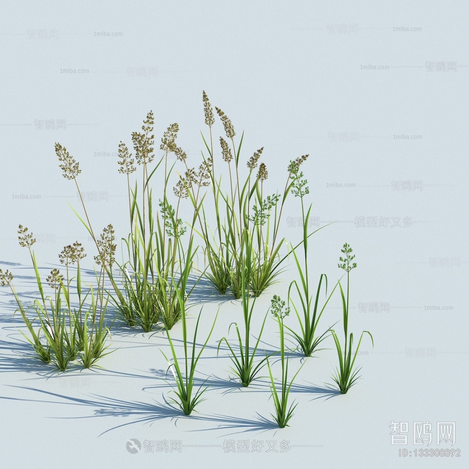 Modern Flowers And Grass