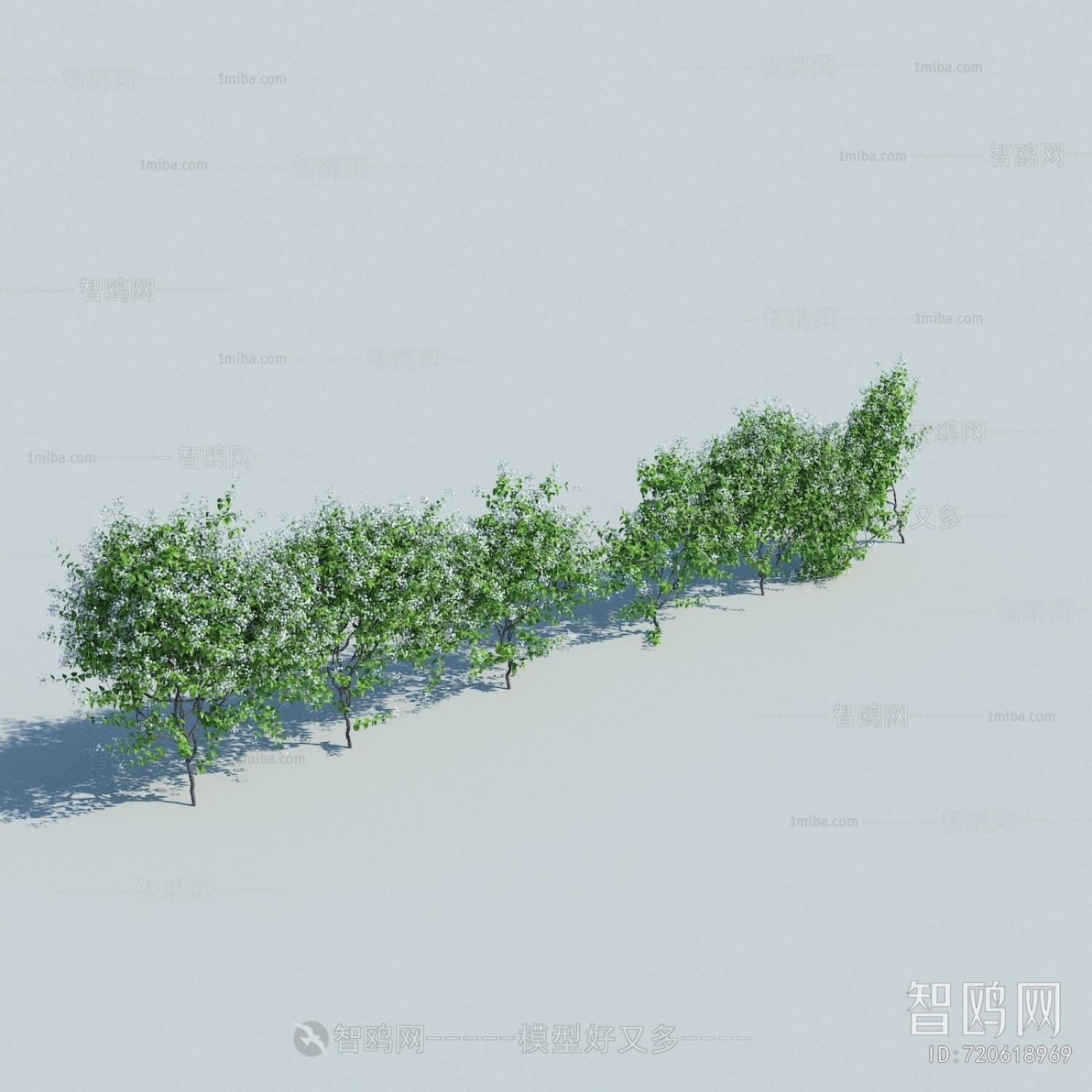 Modern Shrubbery