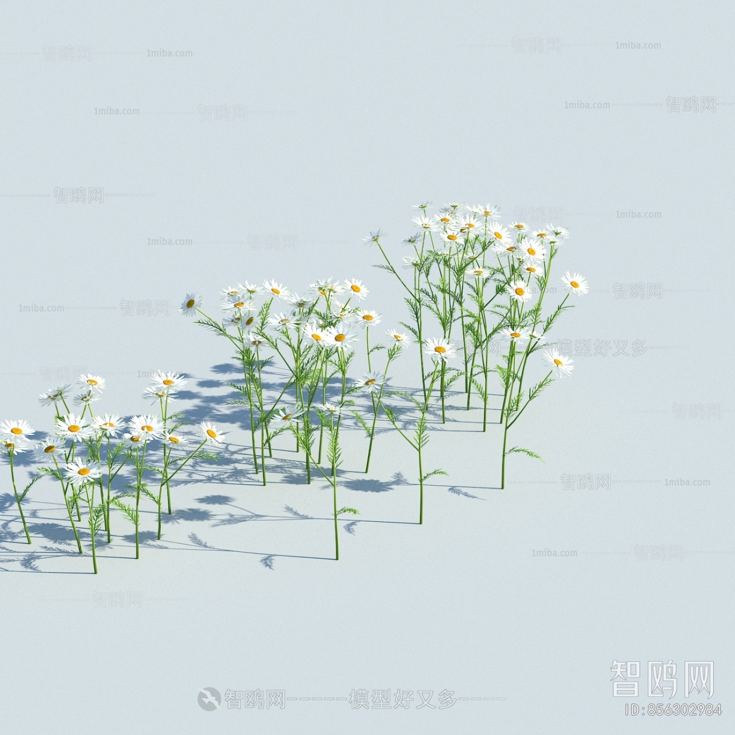 Modern Flowers And Grass