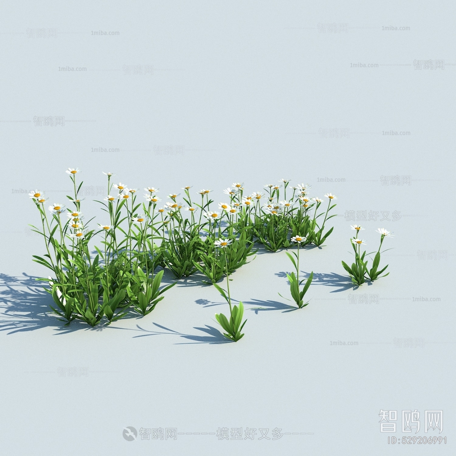 Modern Flowers And Grass