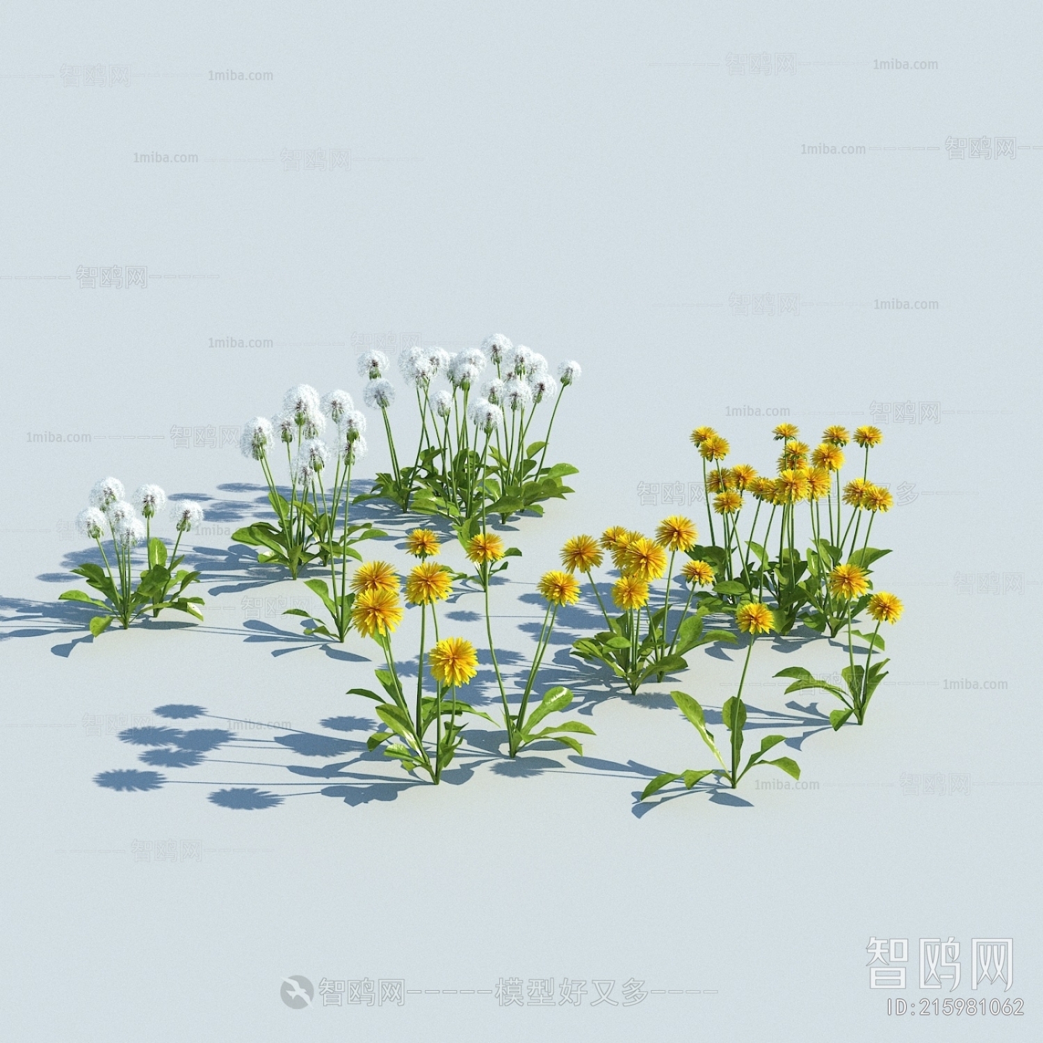 Modern Flowers And Grass