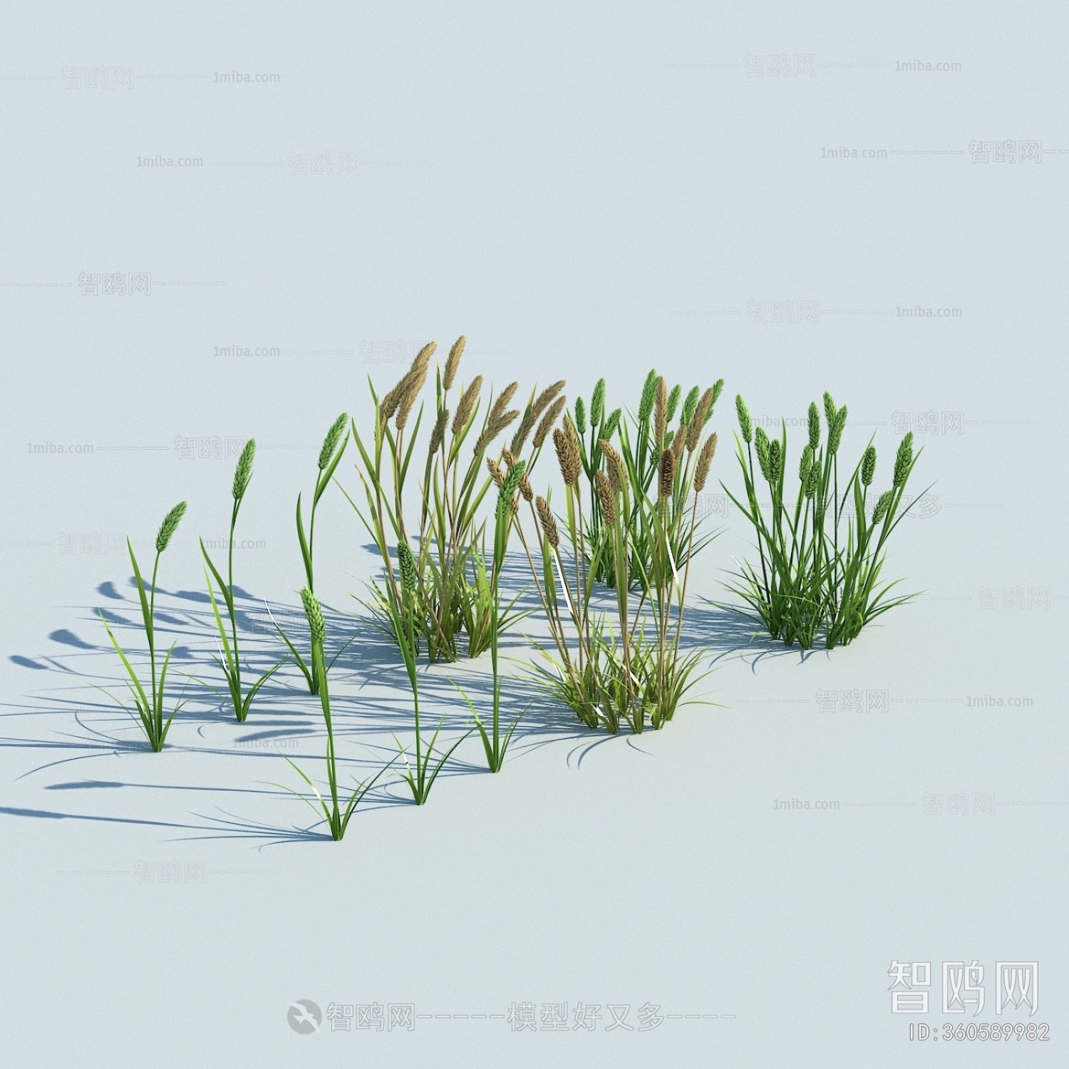 Modern Flowers And Grass