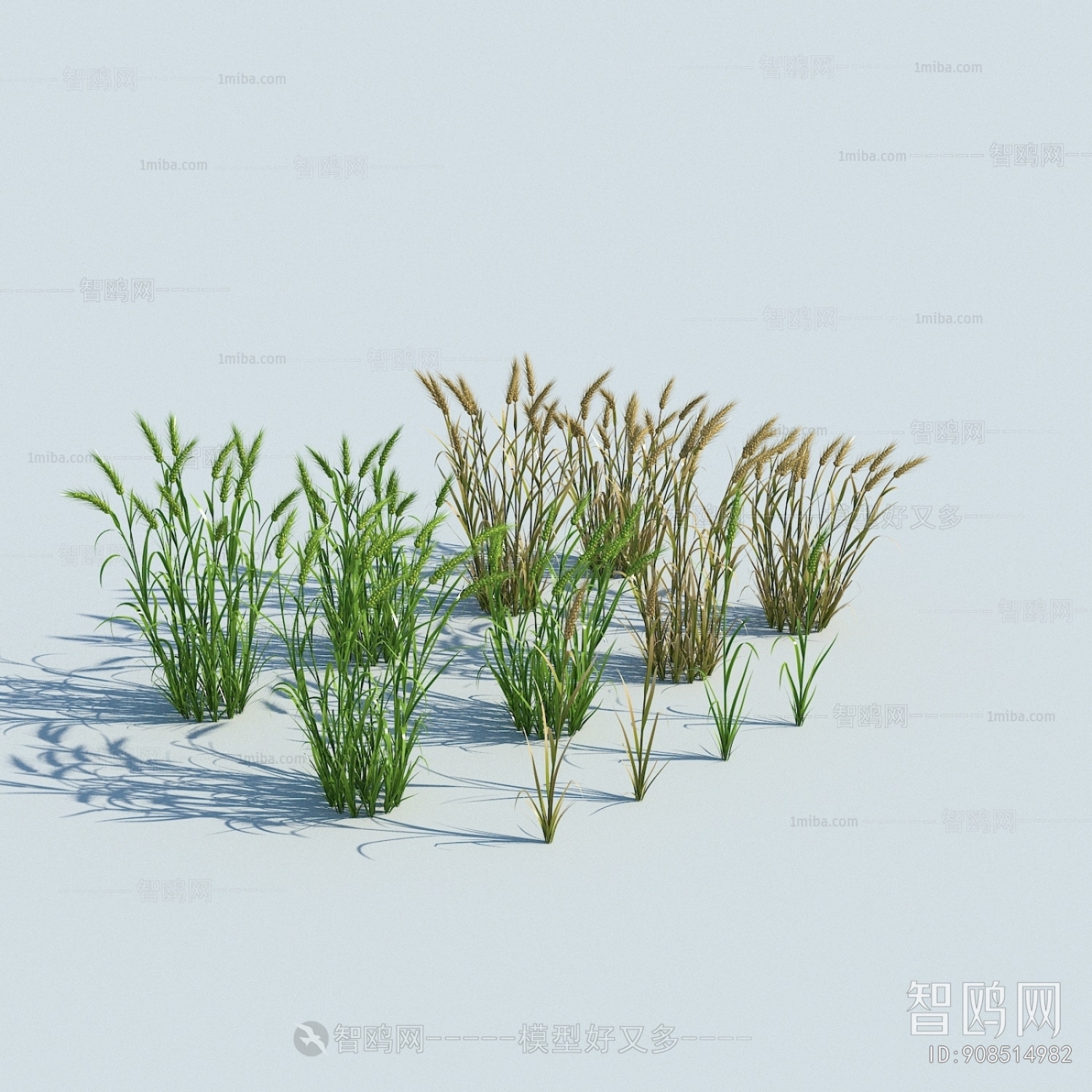 Modern Flowers And Grass