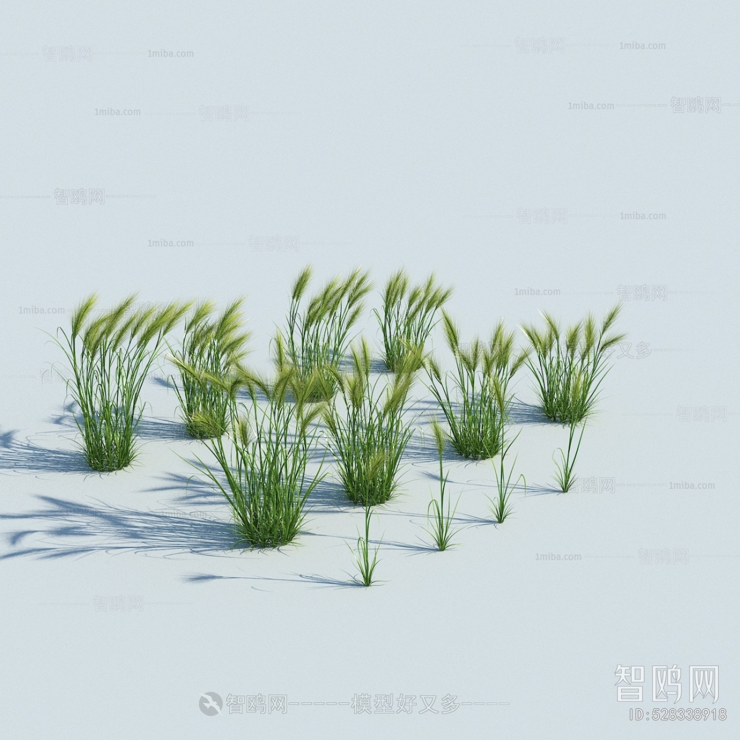 Modern Flowers And Grass