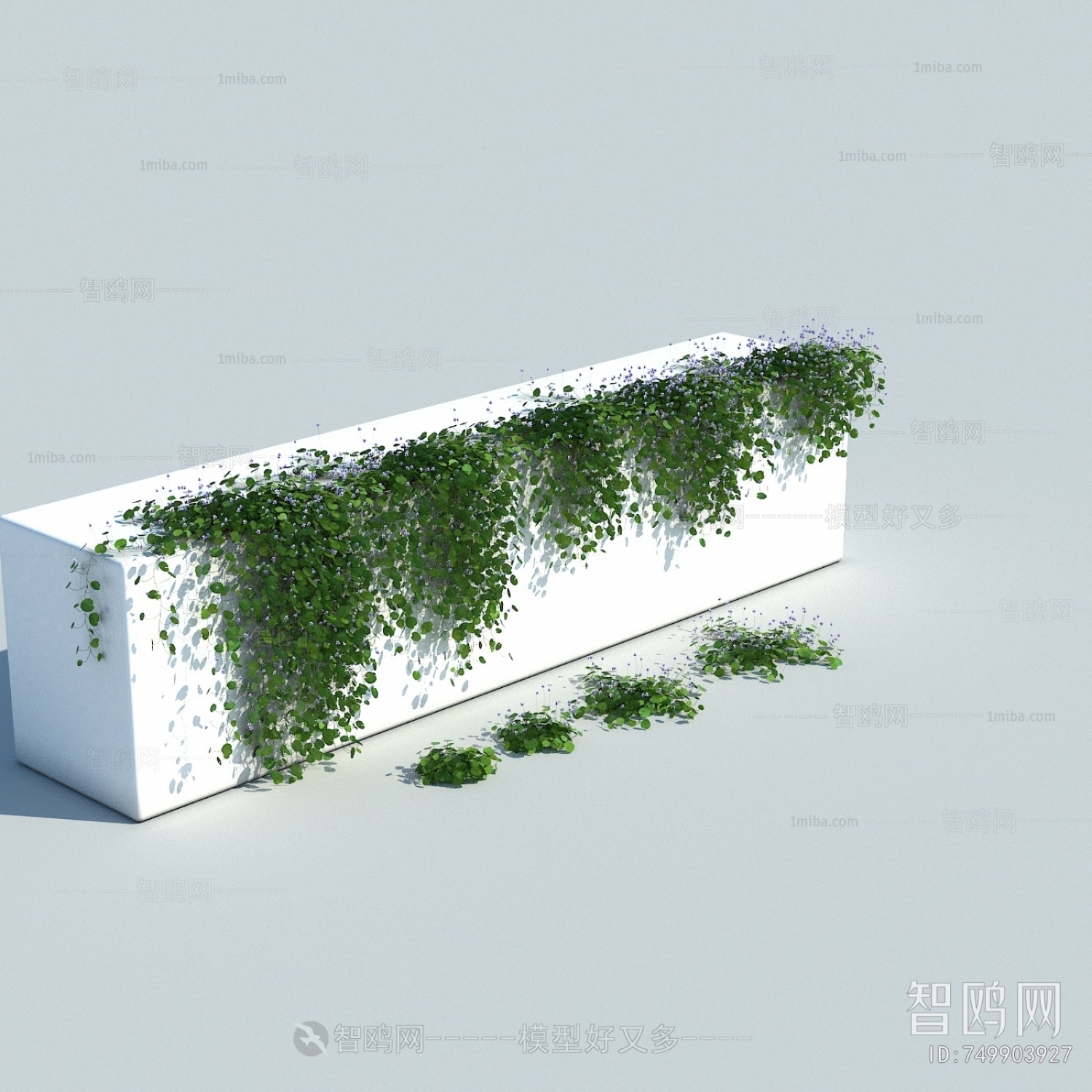 现代爬藤植物