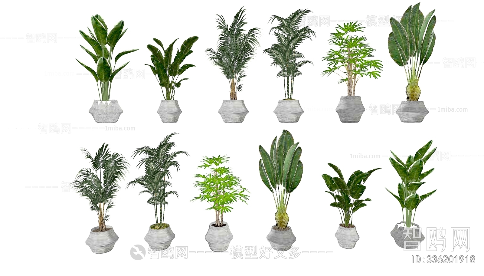 Modern Ground Green Plant Potted Plants