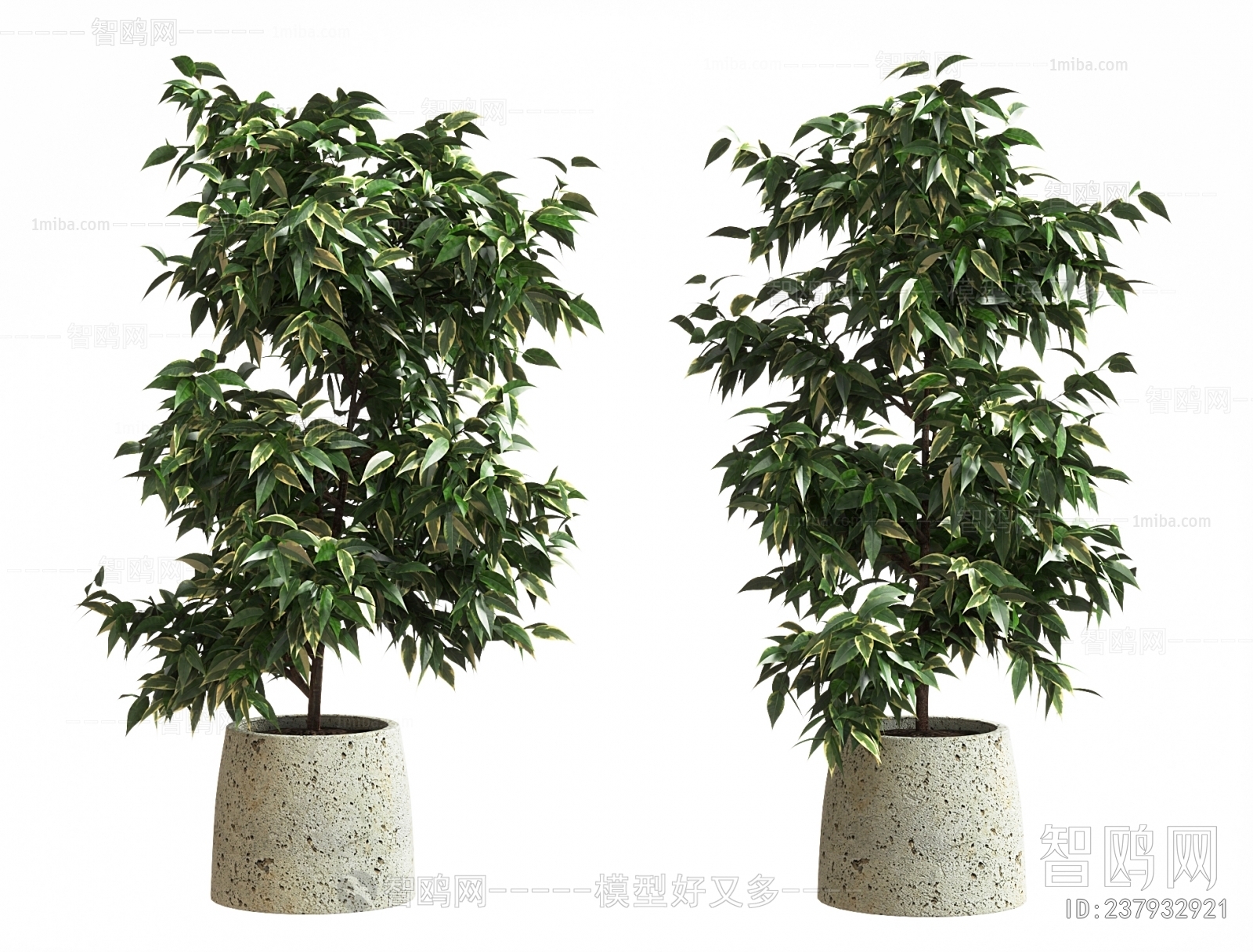 现代落地绿植盆栽