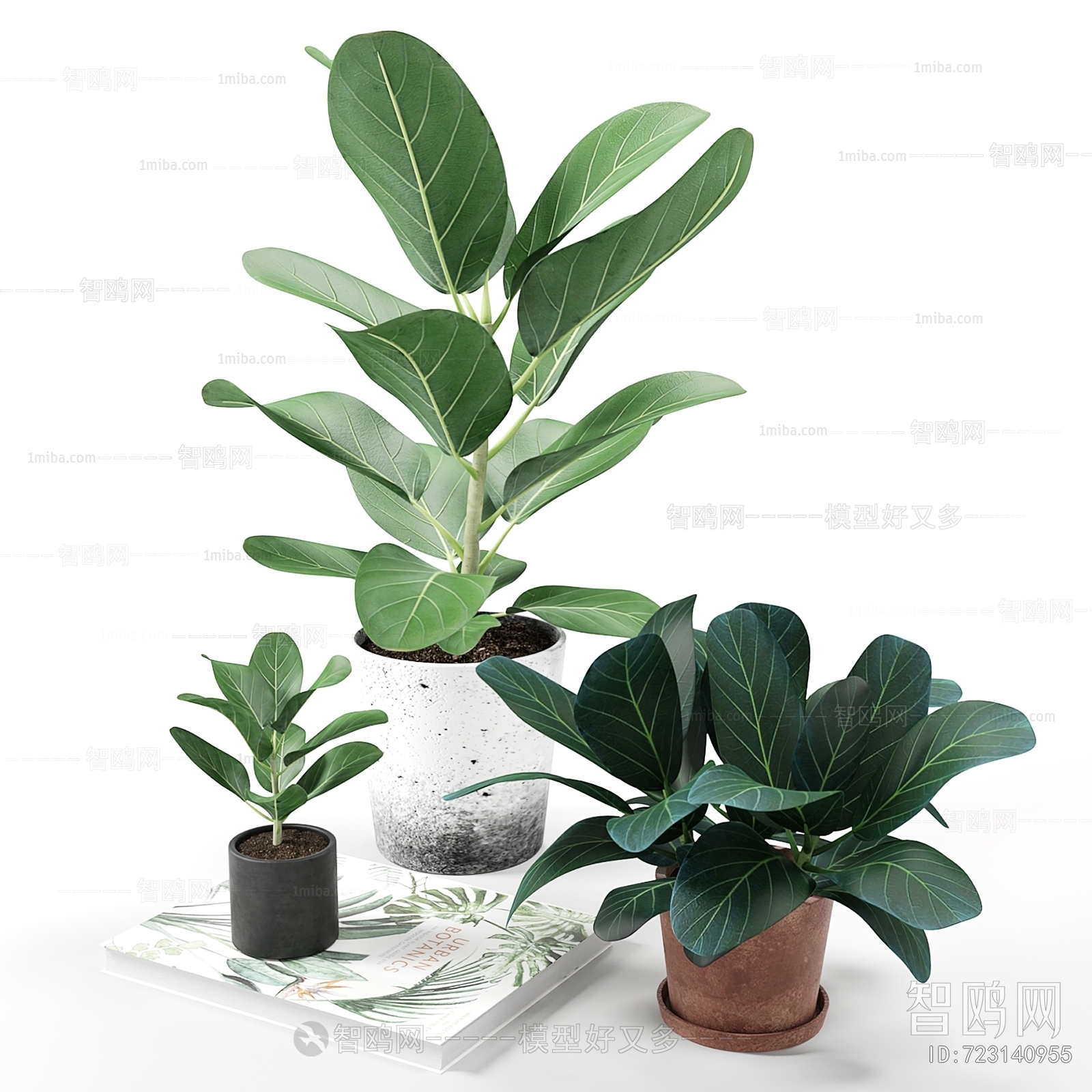 Modern Potted Green Plant