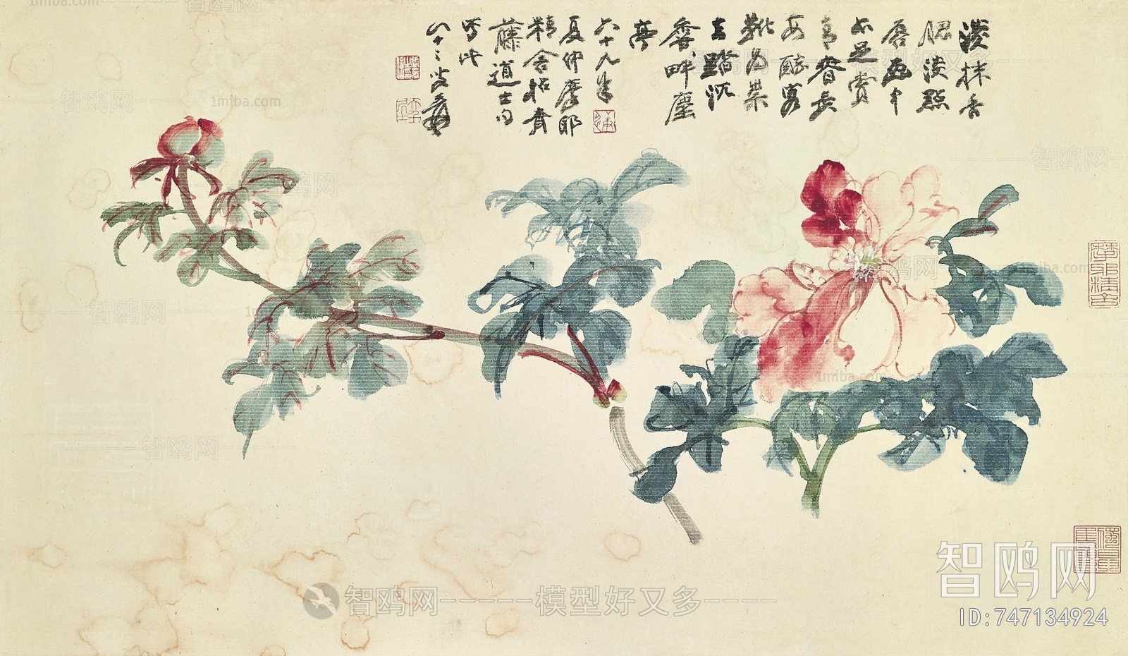 张大千国画水墨画 花花