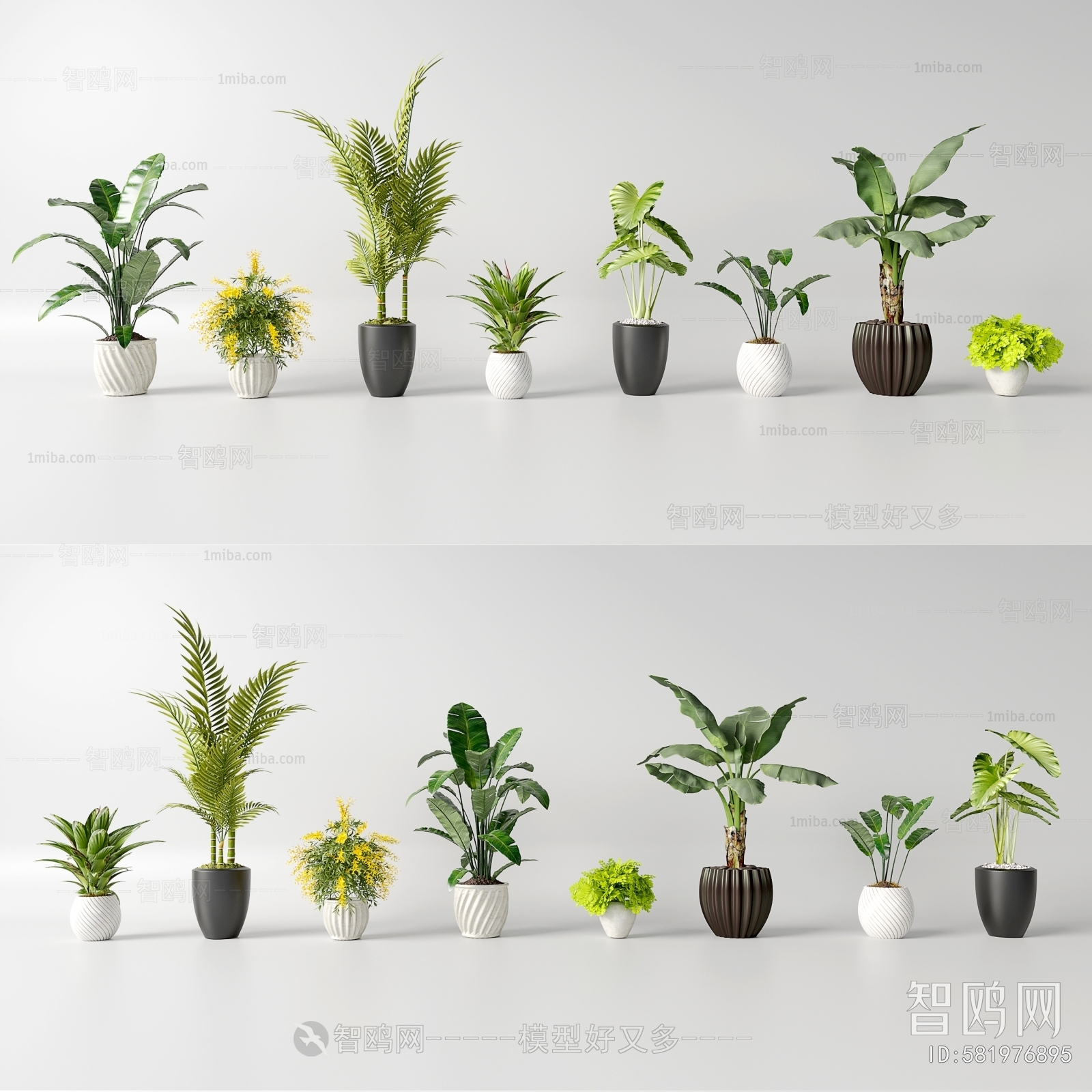 Modern Ground Green Plant Potted Plants