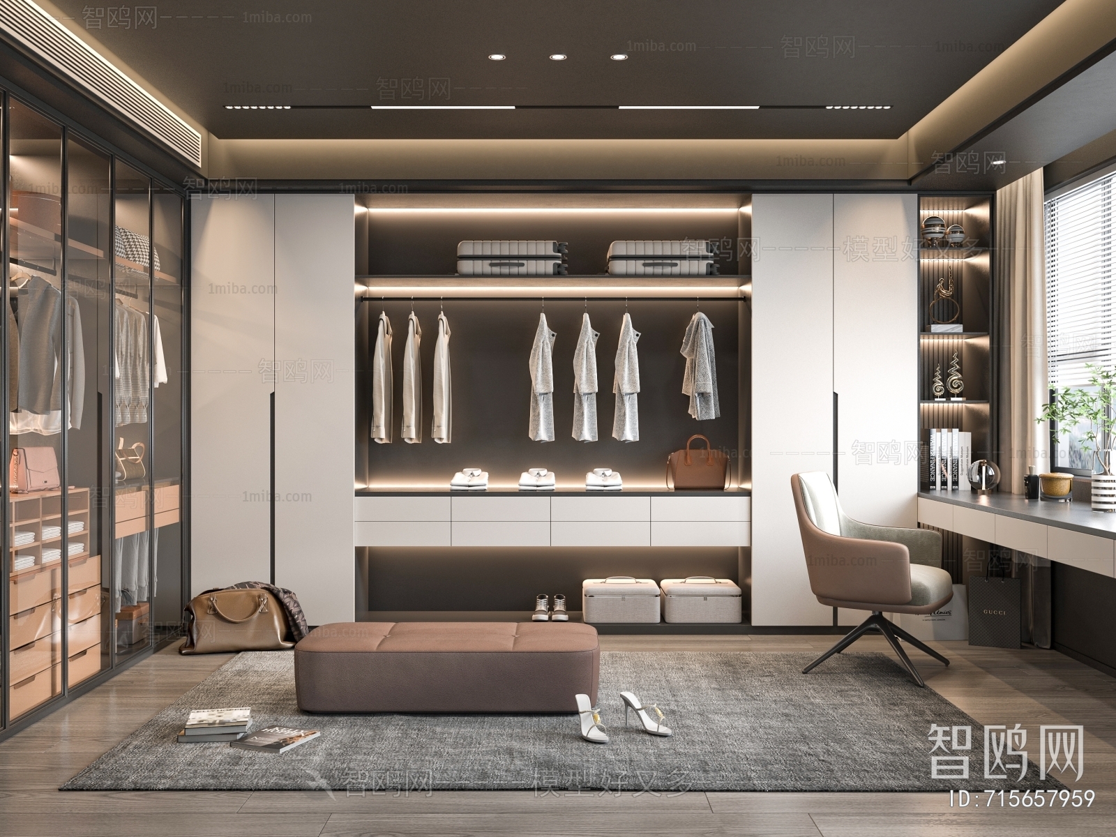 Modern Clothes Storage Area