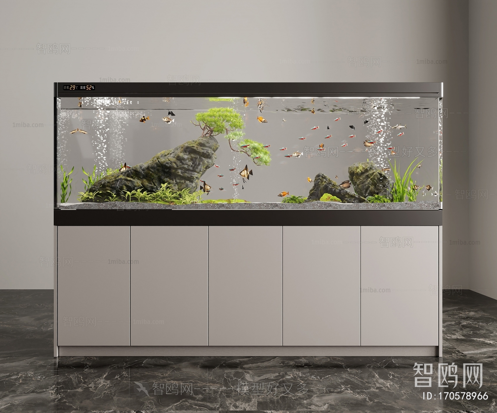 Modern Fish Tank