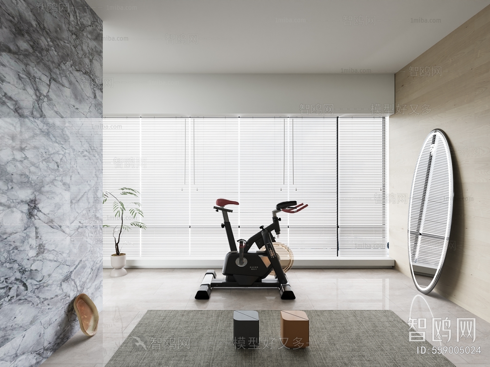 Modern Home Fitness Room