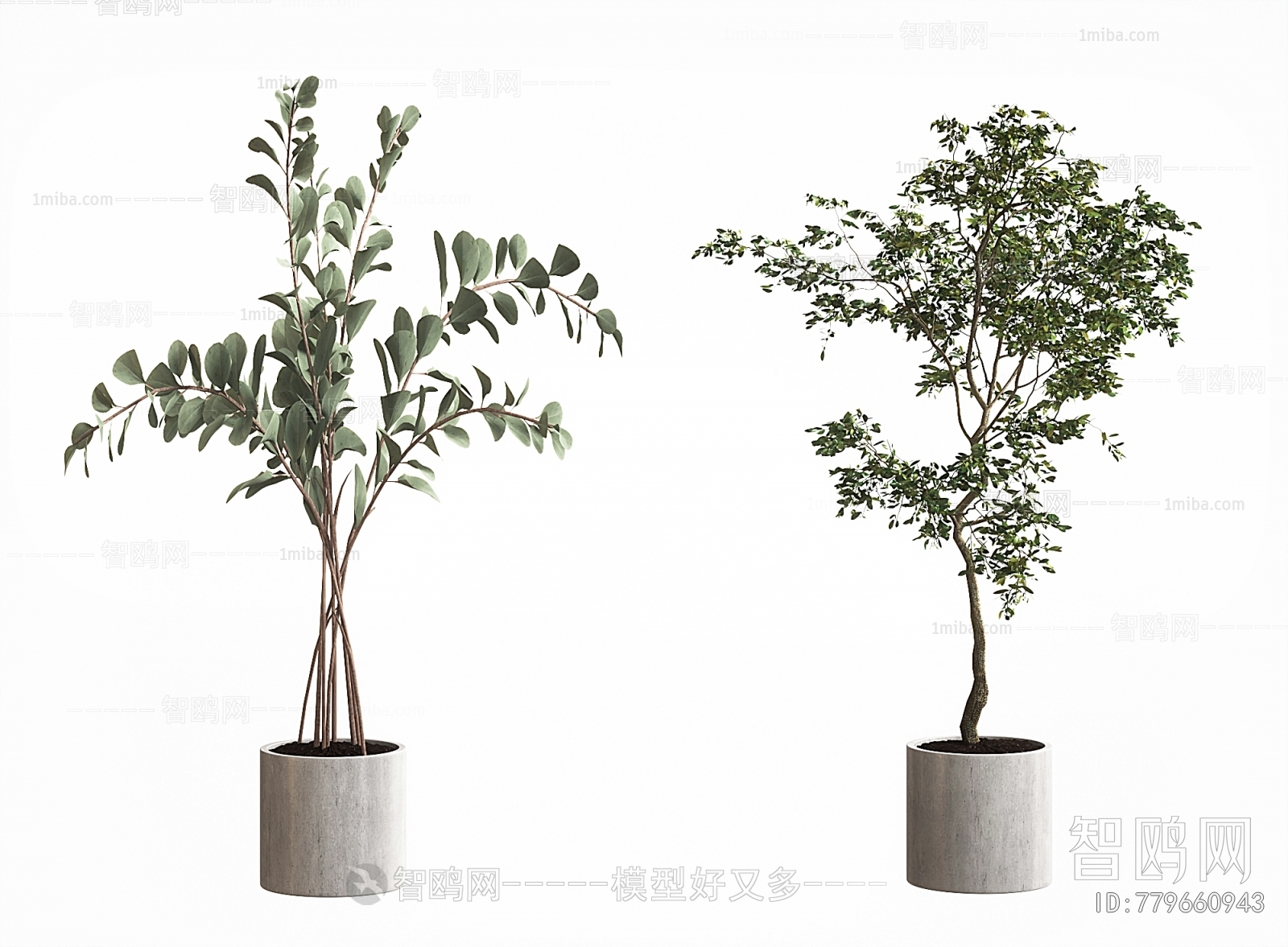 现代落地绿植盆栽