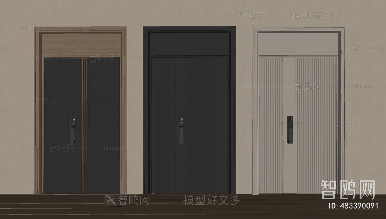 Modern Entrance Door