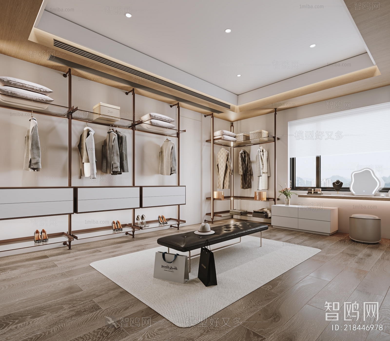 Modern Clothes Storage Area