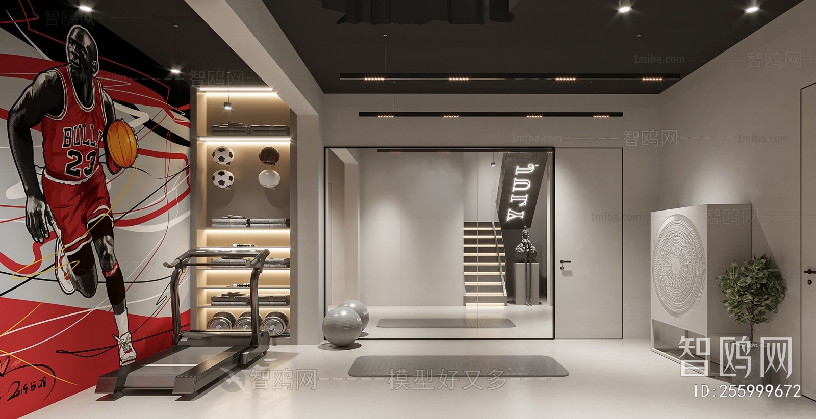 Modern Home Fitness Room