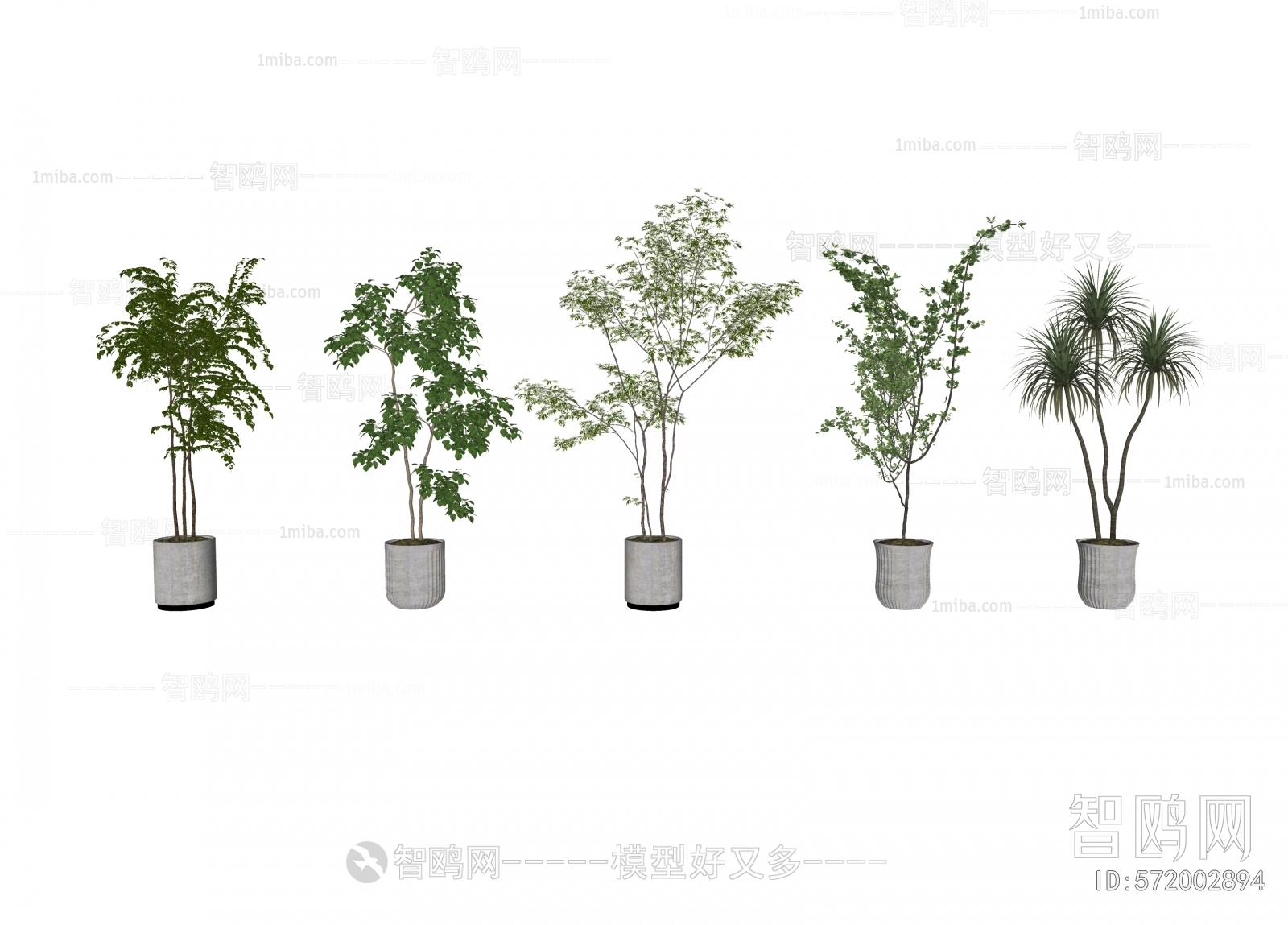 Modern Ground Green Plant Potted Plants