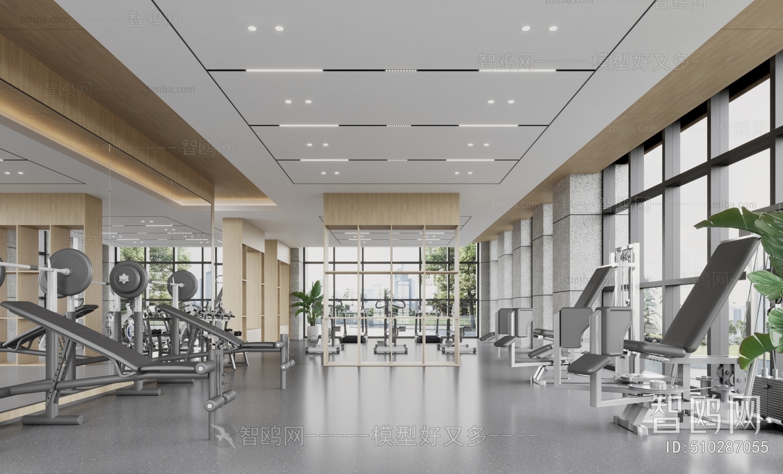 Modern Gym