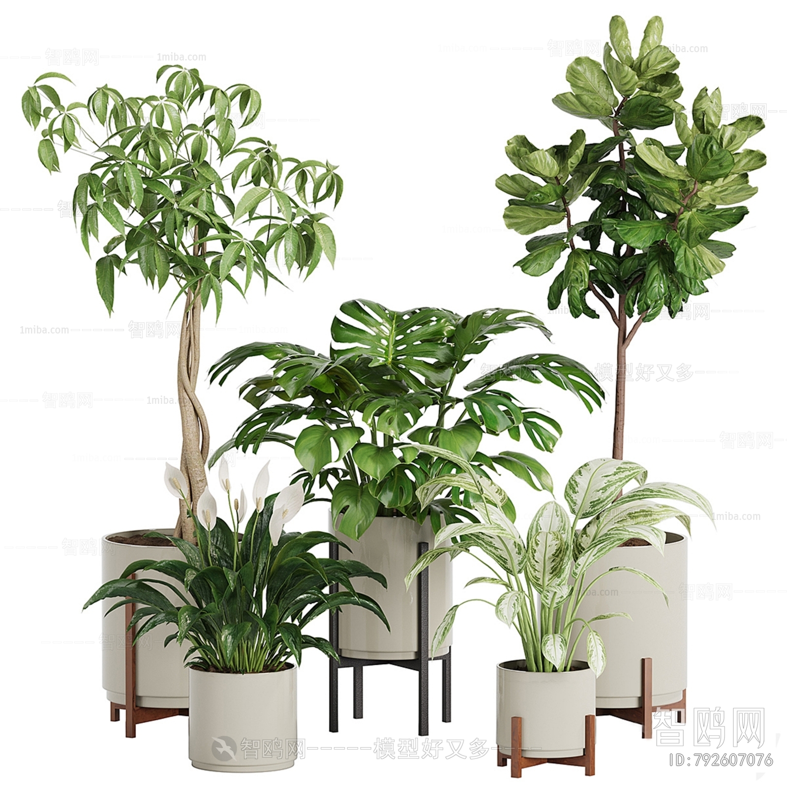 Modern Ground Green Plant Potted Plants