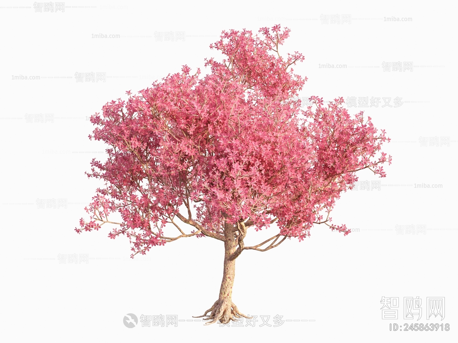 Japanese Style Tree