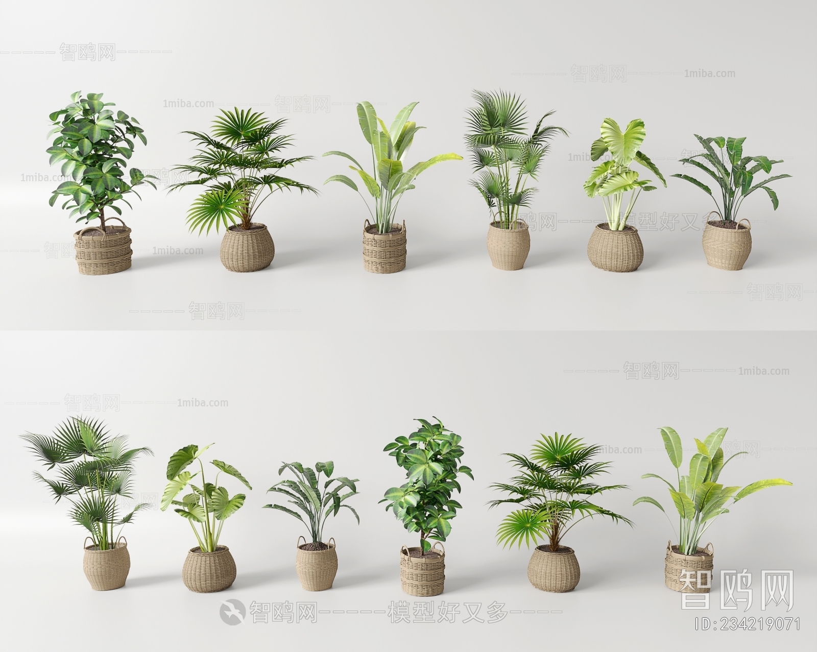 现代绿植盆栽组合