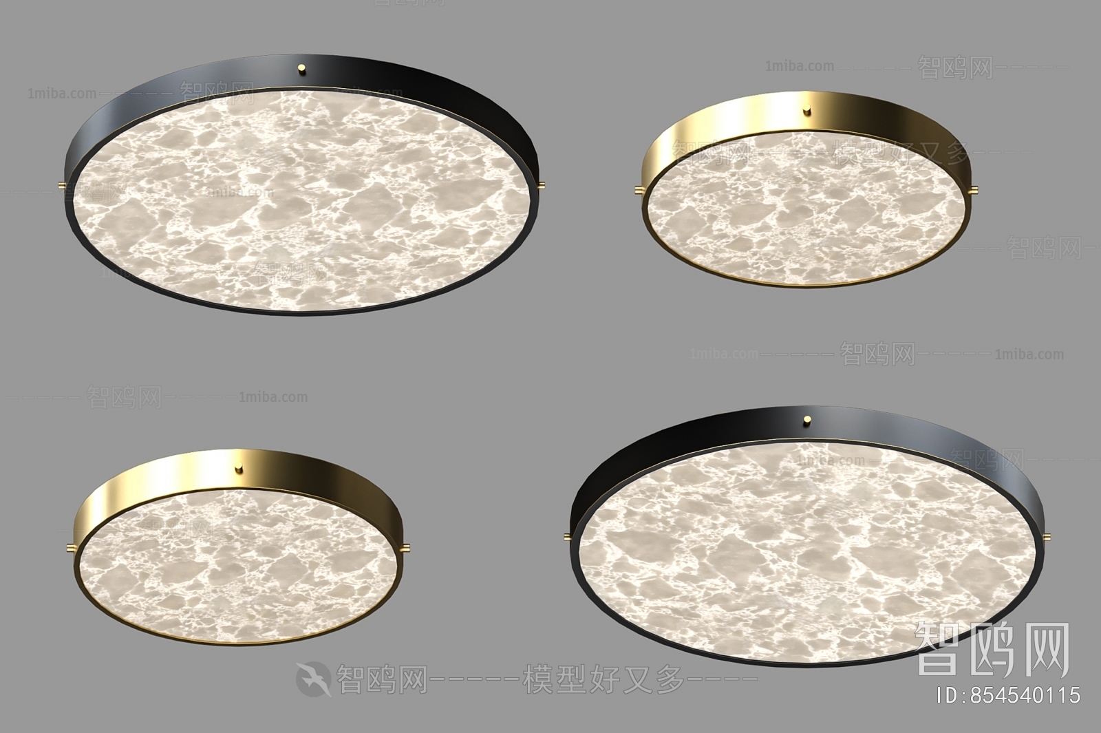 Modern Ceiling Ceiling Lamp