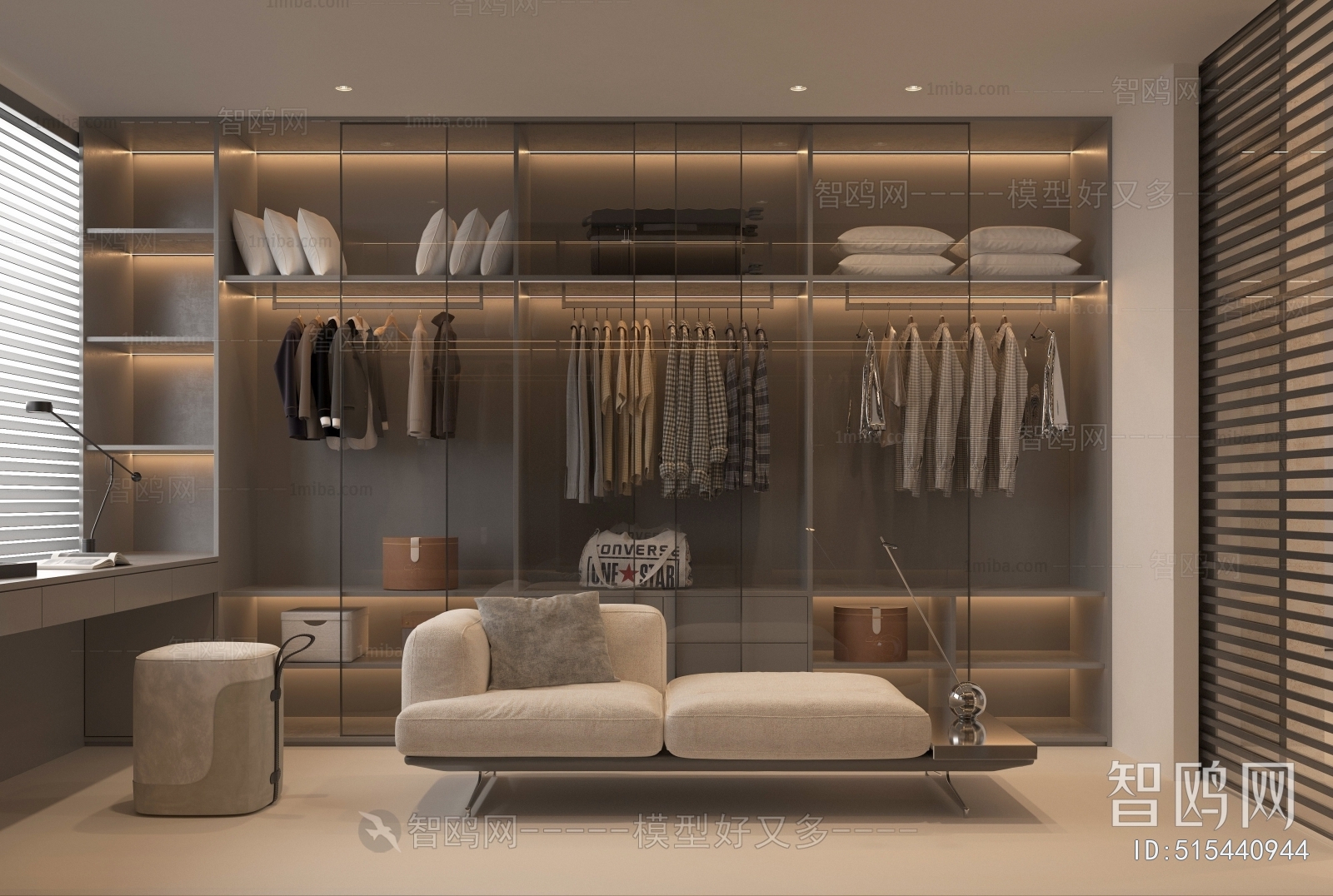 Modern Clothes Storage Area