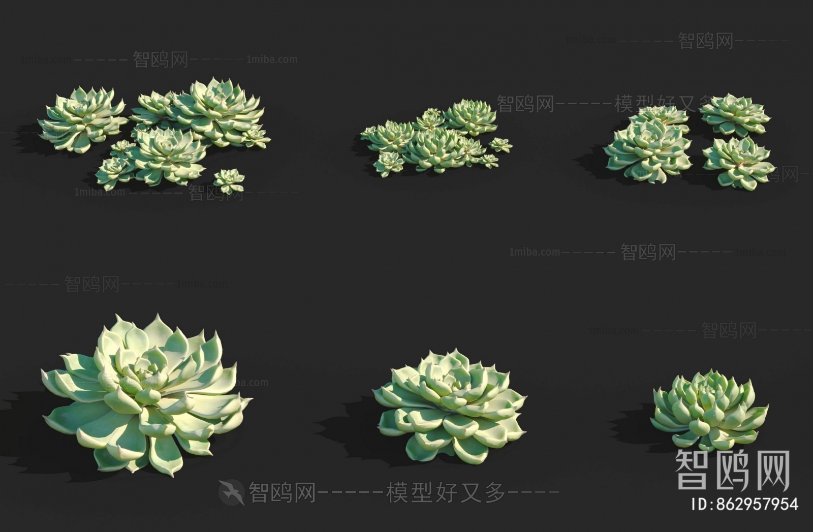 Modern Plant