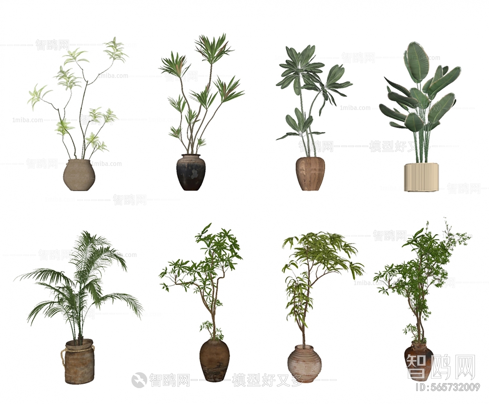 Modern Ground Green Plant Potted Plants