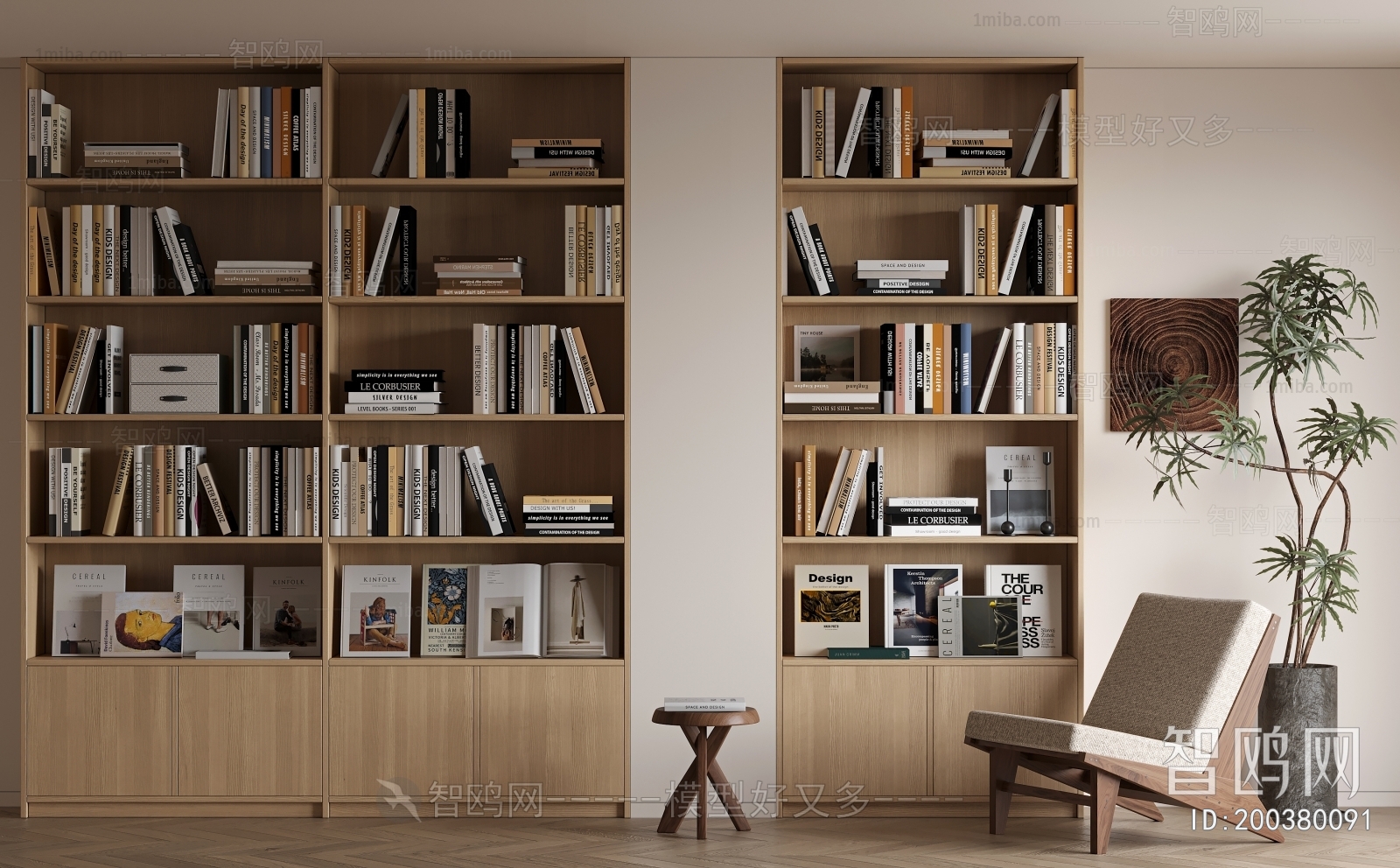 Modern Bookcase