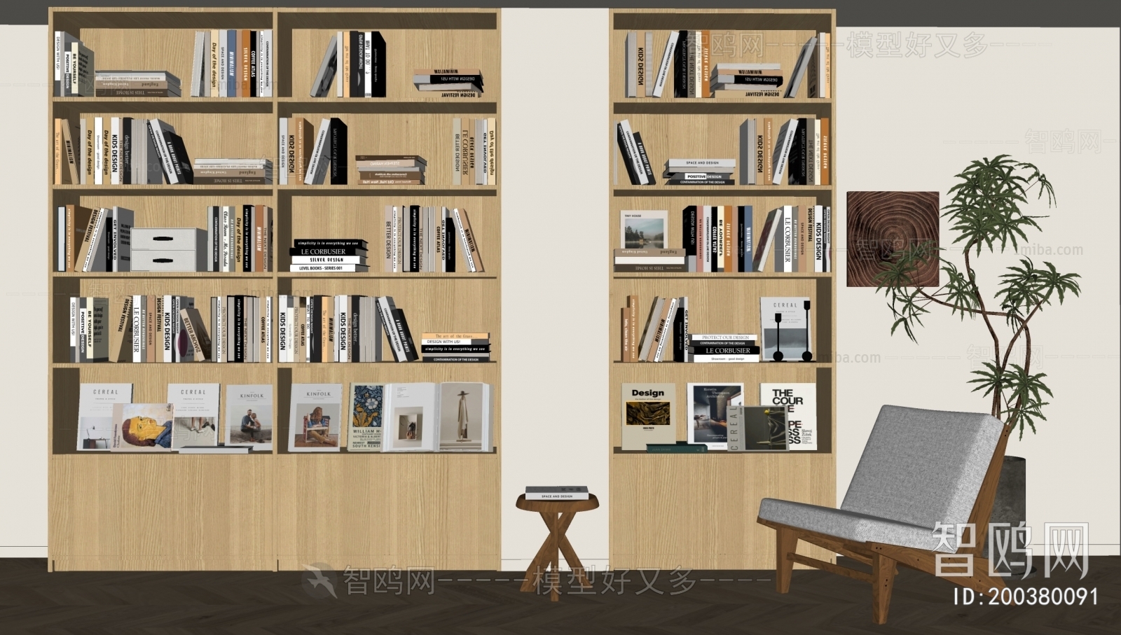 Modern Bookcase