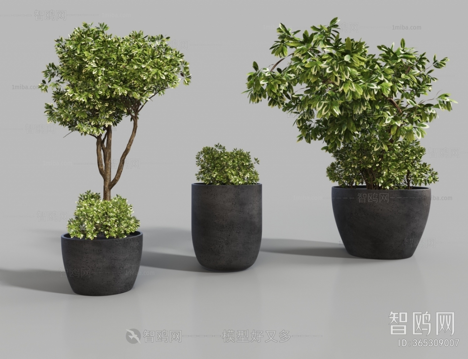 Modern Ground Green Plant Potted Plants