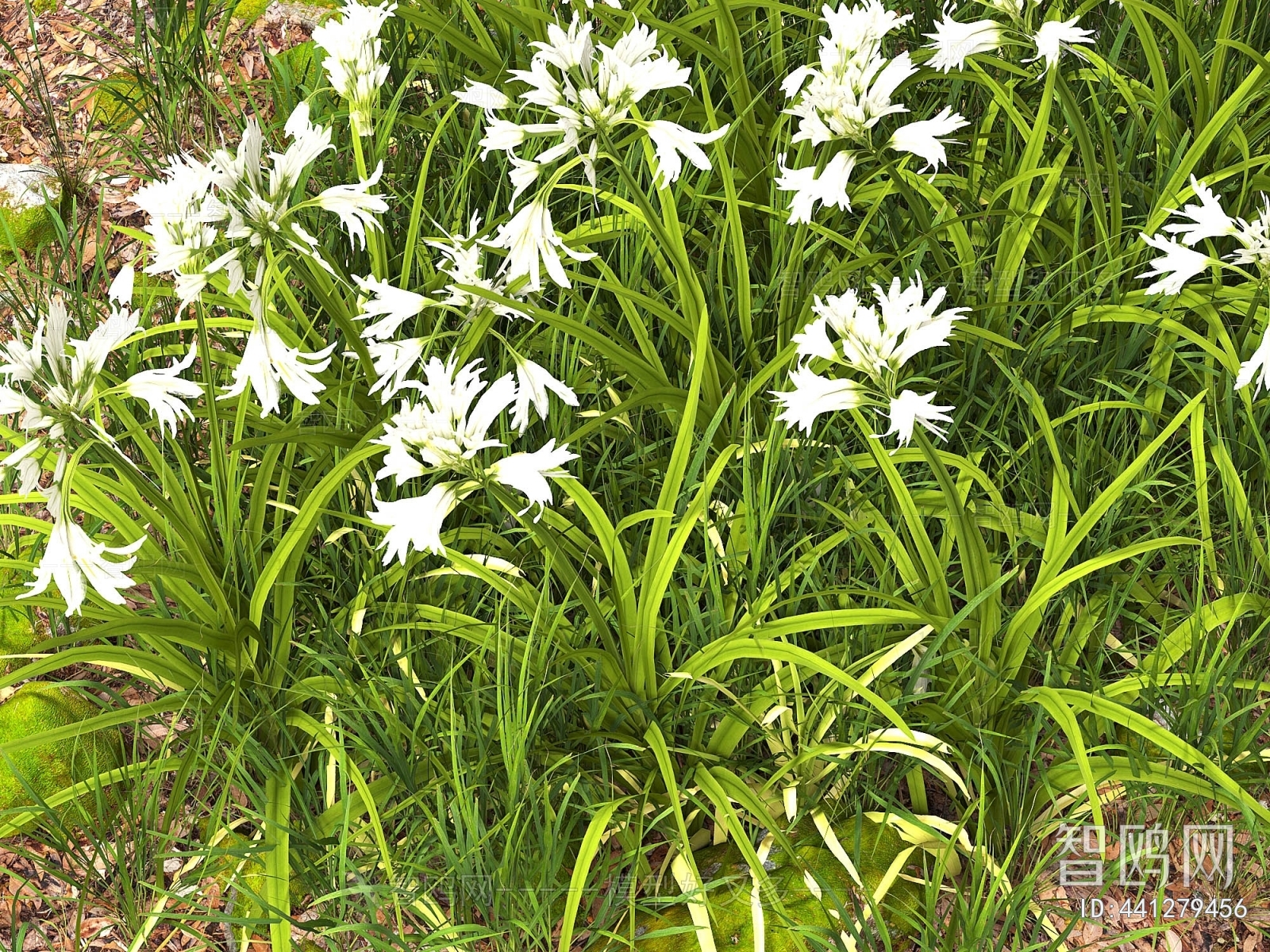 Modern Flowers And Grass