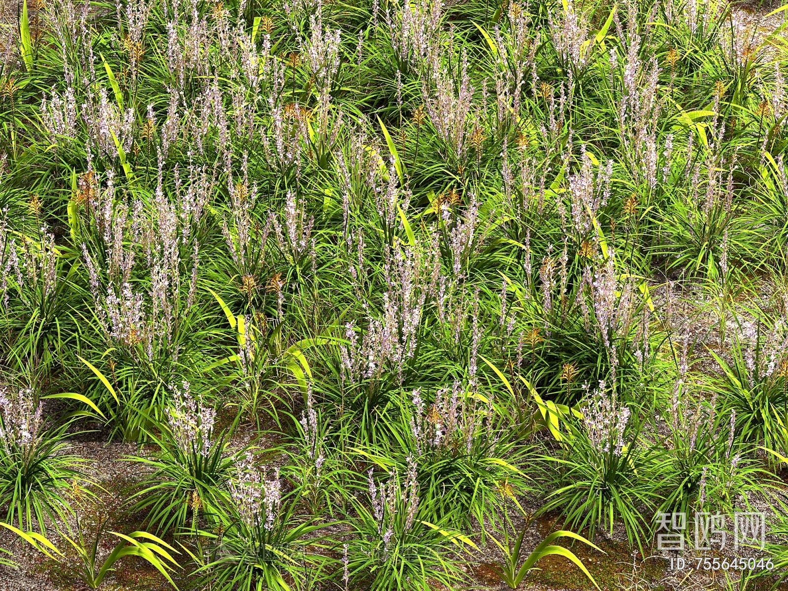 Modern Flowers And Grass