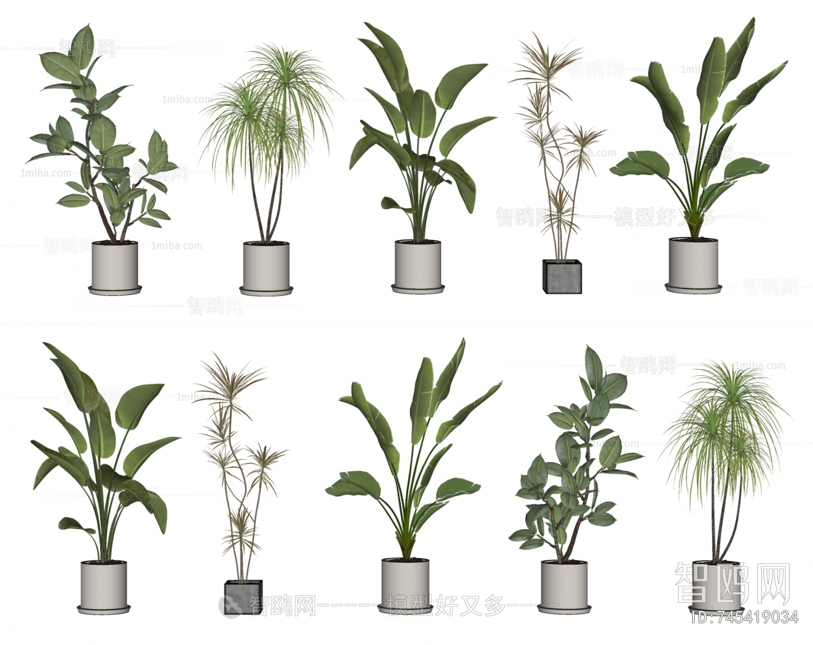 Modern Ground Green Plant Potted Plants